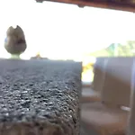 Quiete A * Porto Cervo